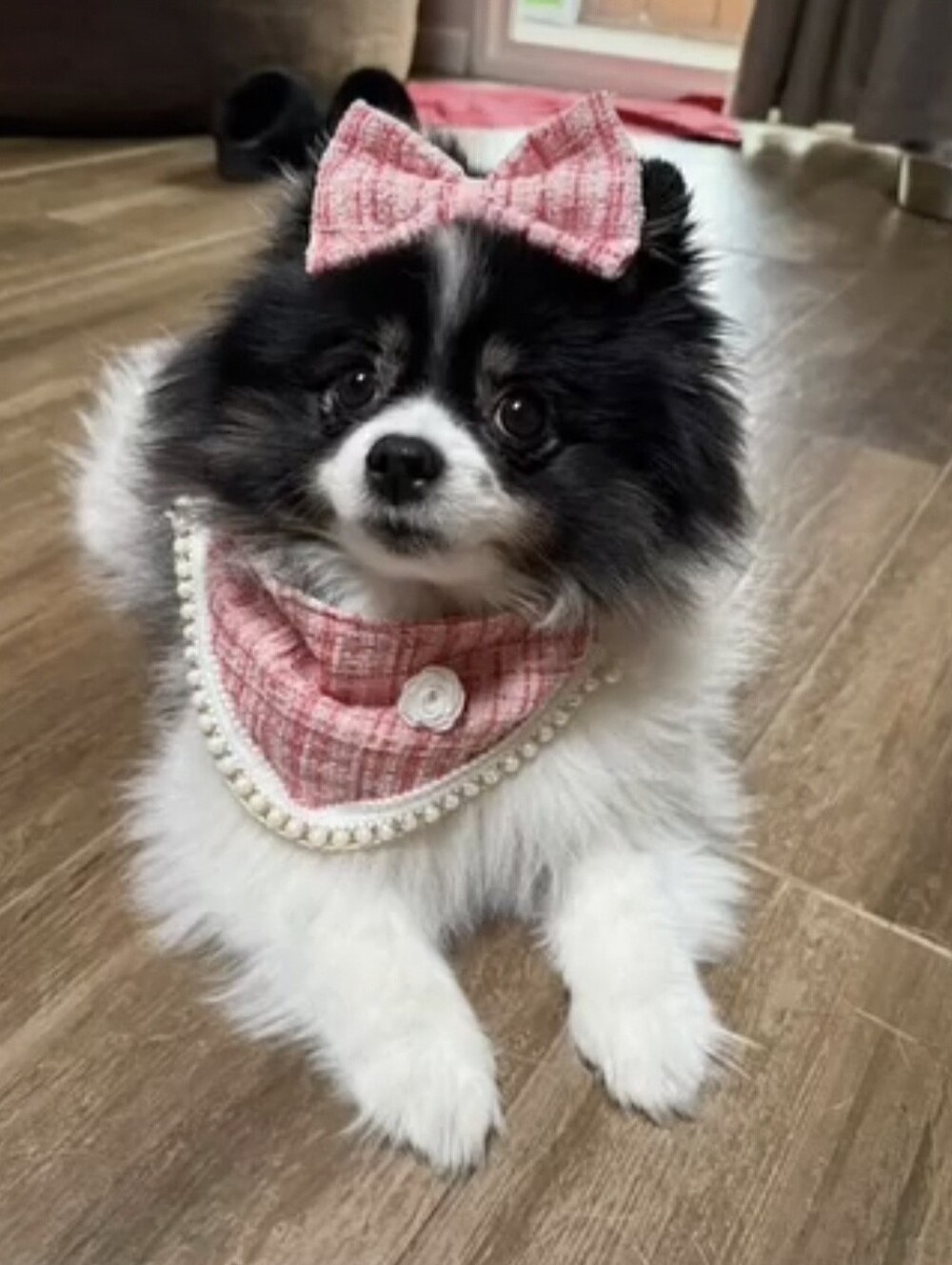 Pink Plaid Dog Bib & Bow Set with Pearl Necklace Collar - SIZE XS